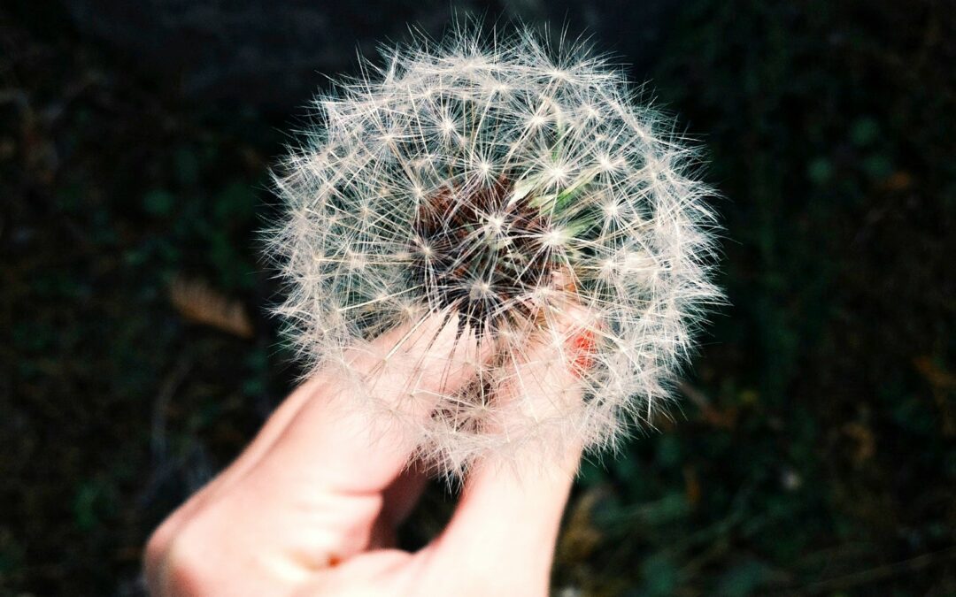 Comment soulager naturellement les allergies au pollen