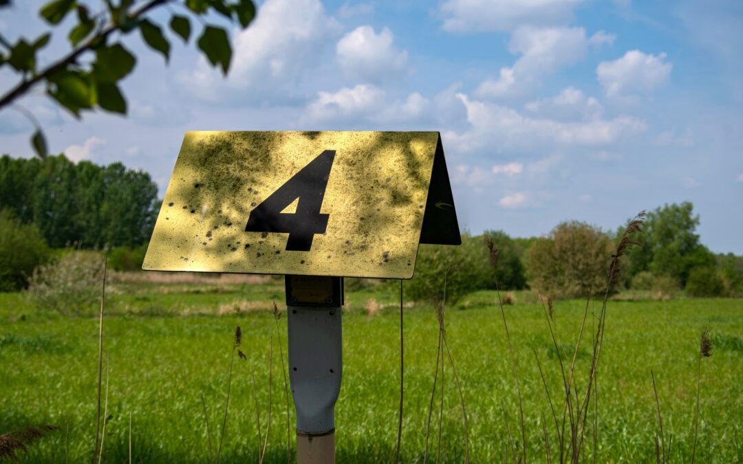 Les 4 Accords Toltèques : la méthode simple pour transformer ton bien-être au quotidien